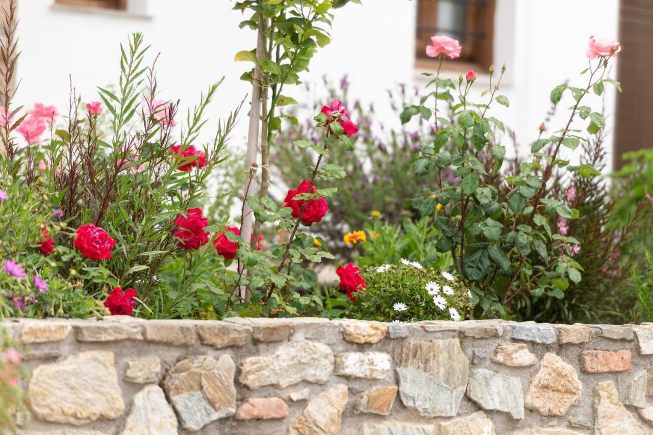 Garden House Psarogiannis Διαμέρισμα Βουρβουρού Εξωτερικό φωτογραφία